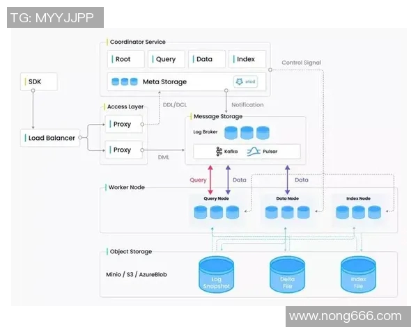 深入探讨杭州排球队技术表现的数据分析与提升策略